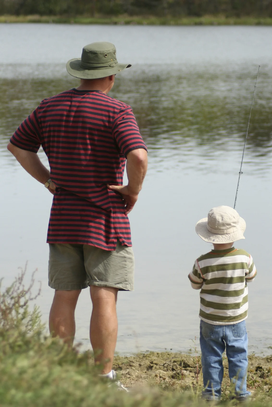 iStock_000003672245Medium-2.jpg