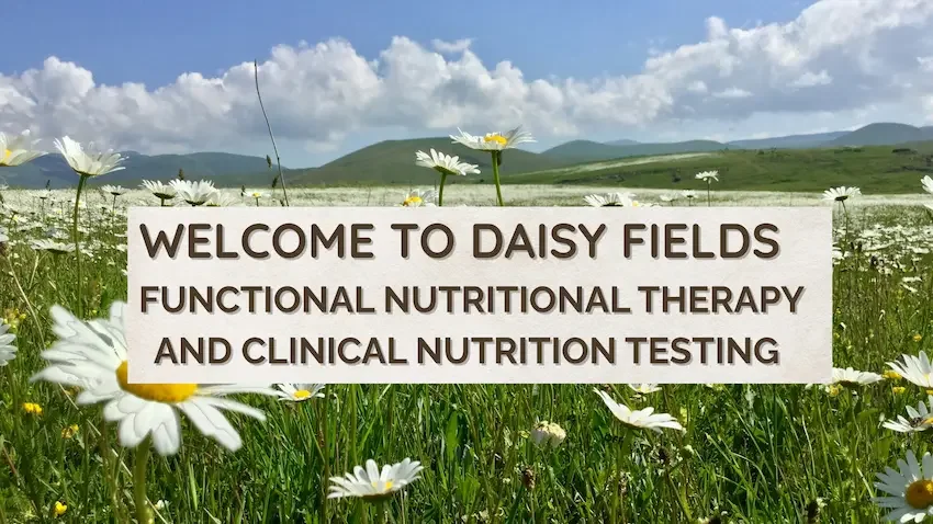 Functional Nutritional Therapy and Clinical Nutrition Testing with TamJohn.com | Daisy Fields Company homepage banner