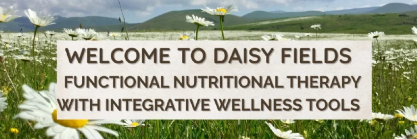Daisy Fields Company banner with text "Welcome to Daisy Fields Functional Nutritional Therapy with Integrative Wellness Tools" in front of a daisy field and backdrop of mountains.