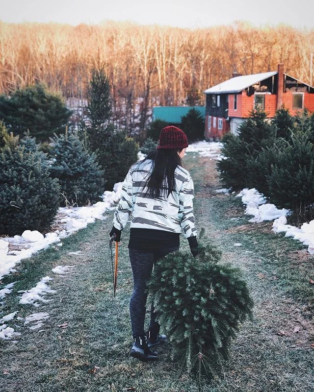 Tree. #L7photo #tistheseason #cuechristmasmusic #hardenburghfarm #christmastree #newyork