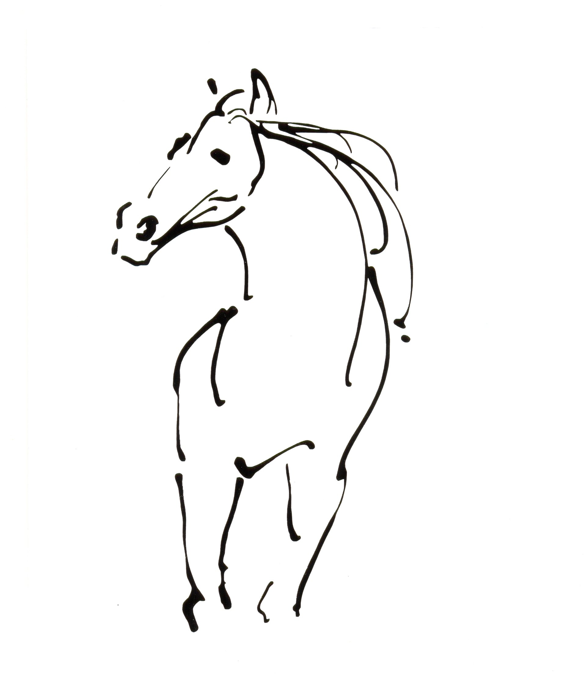 CABALLO.by BRITT ZAIST. ink gesture drawing.jpg