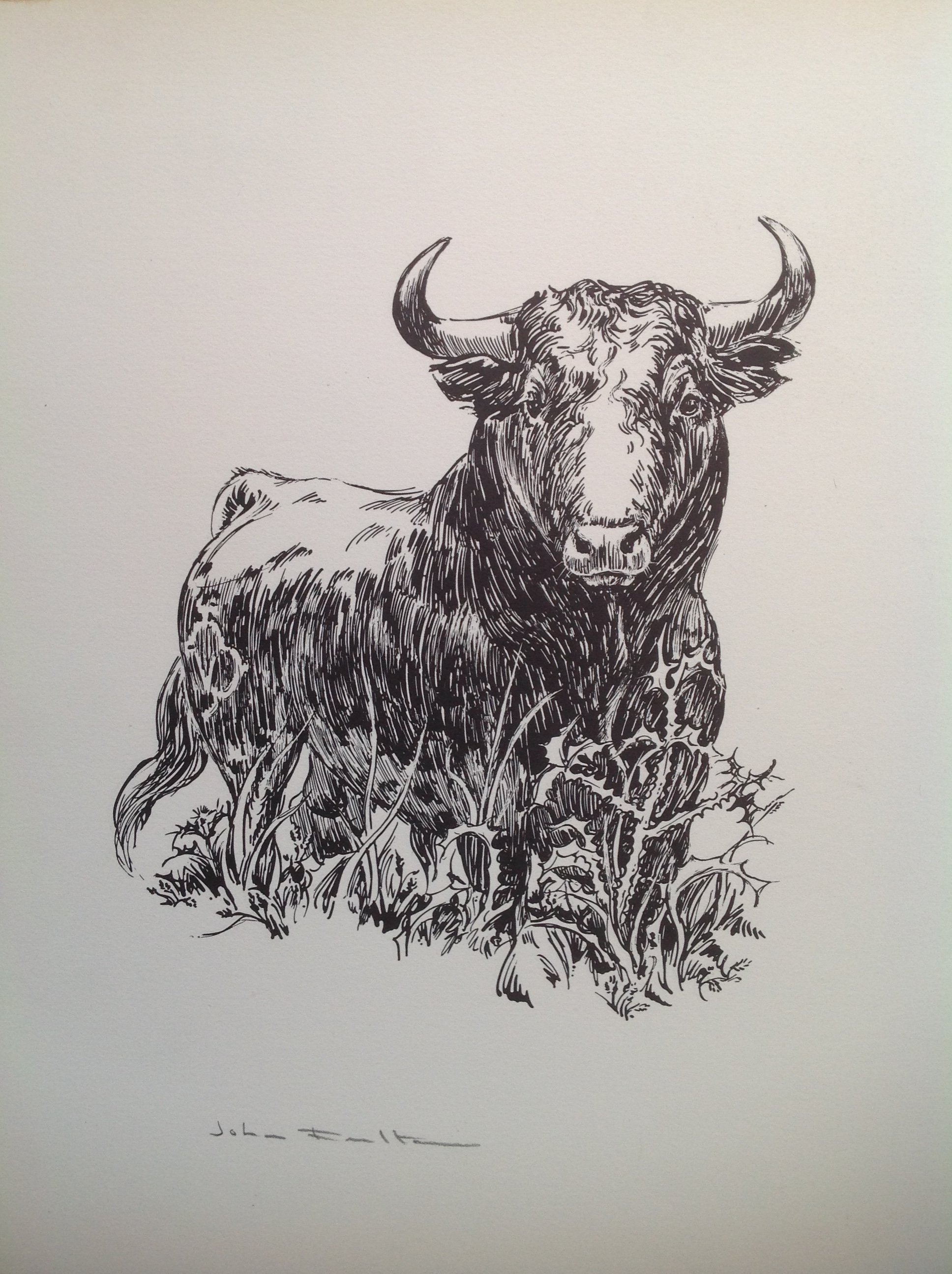 'Bull In The Field by John Fulton.lithograph.signed.$400.USD.15.5hx12.5w inches.jpg