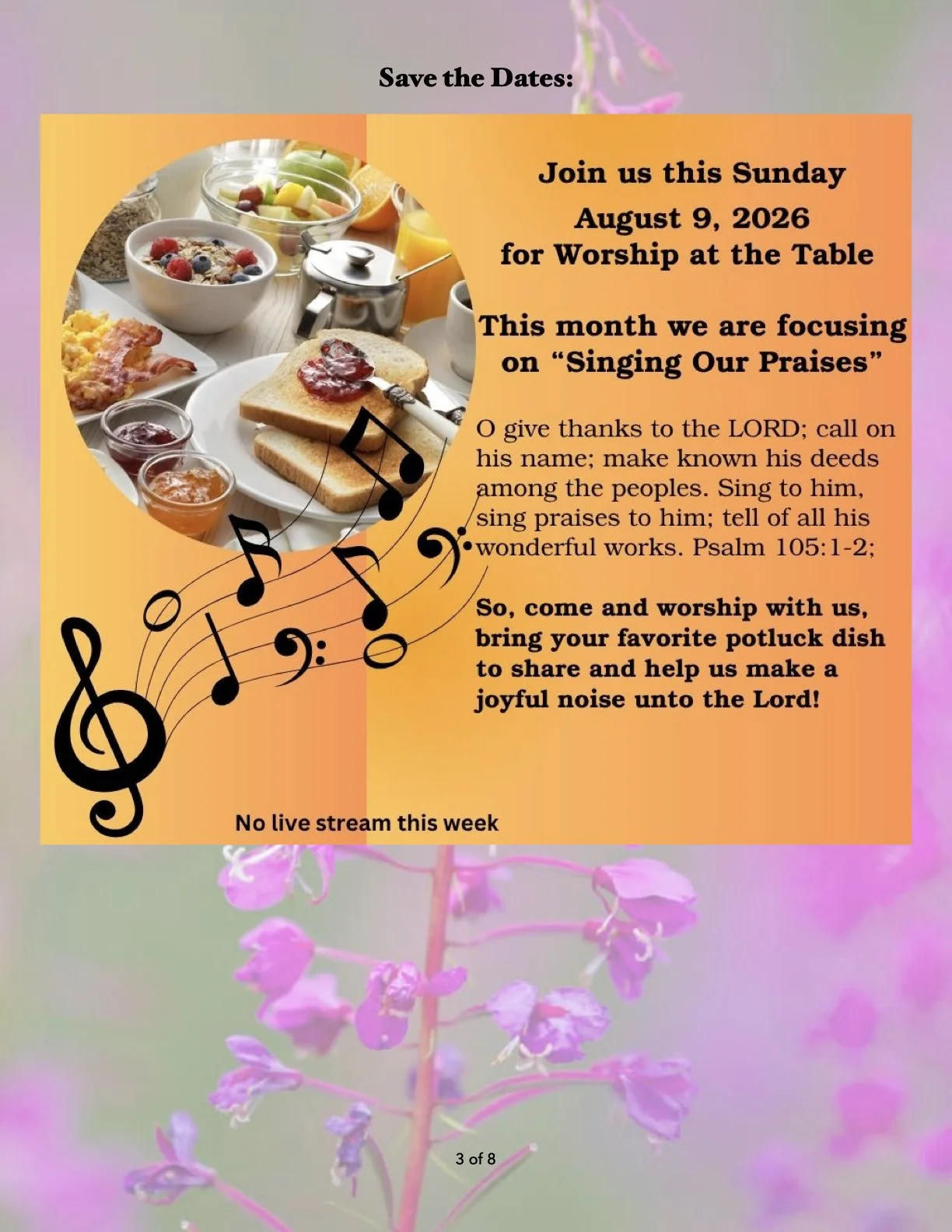 August 2026 PUMC Newsletter   .3.jpeg