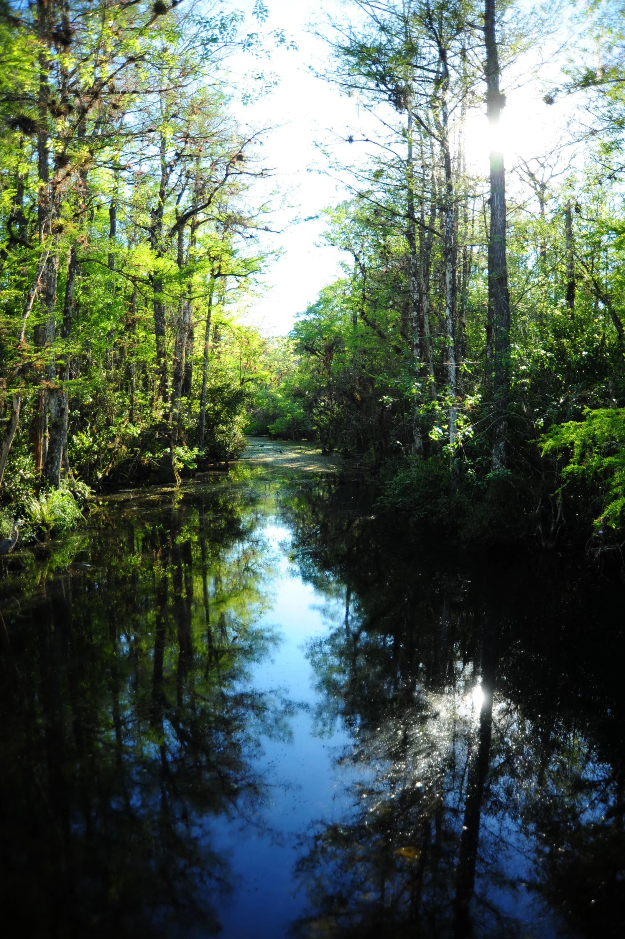 DSC_2665.JPG