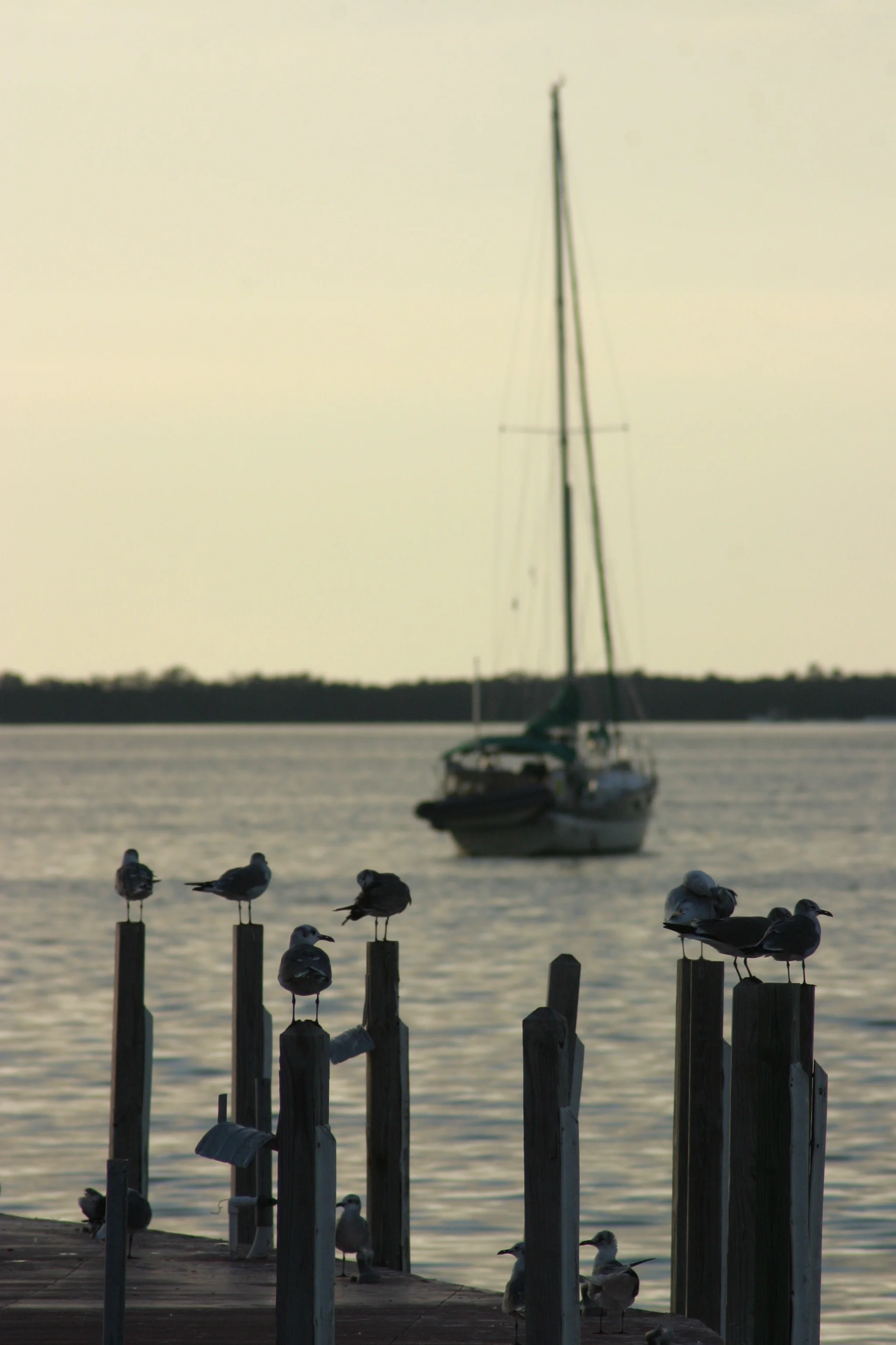 IMG_3249.JPG