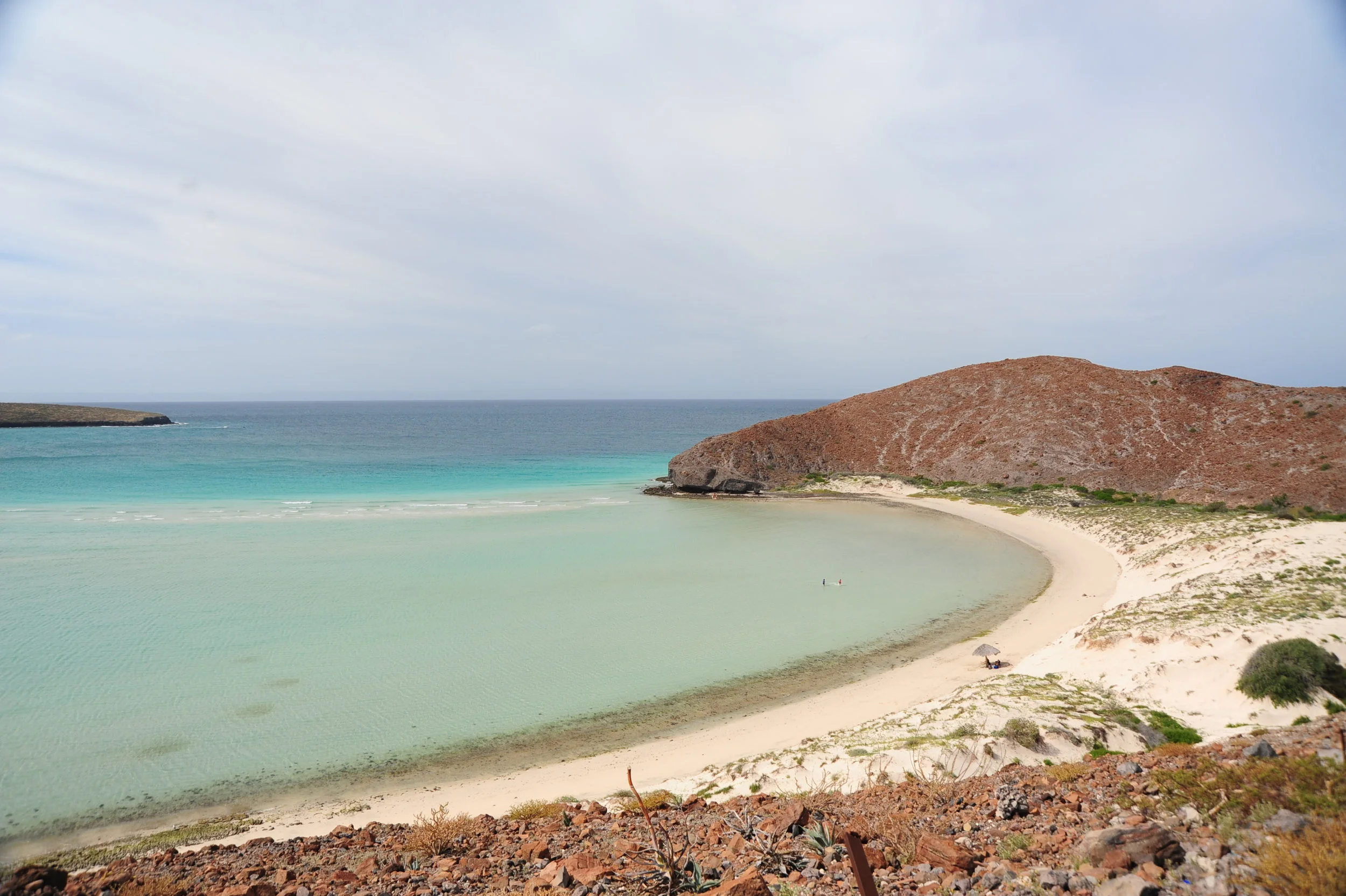 DSC_8407.JPG