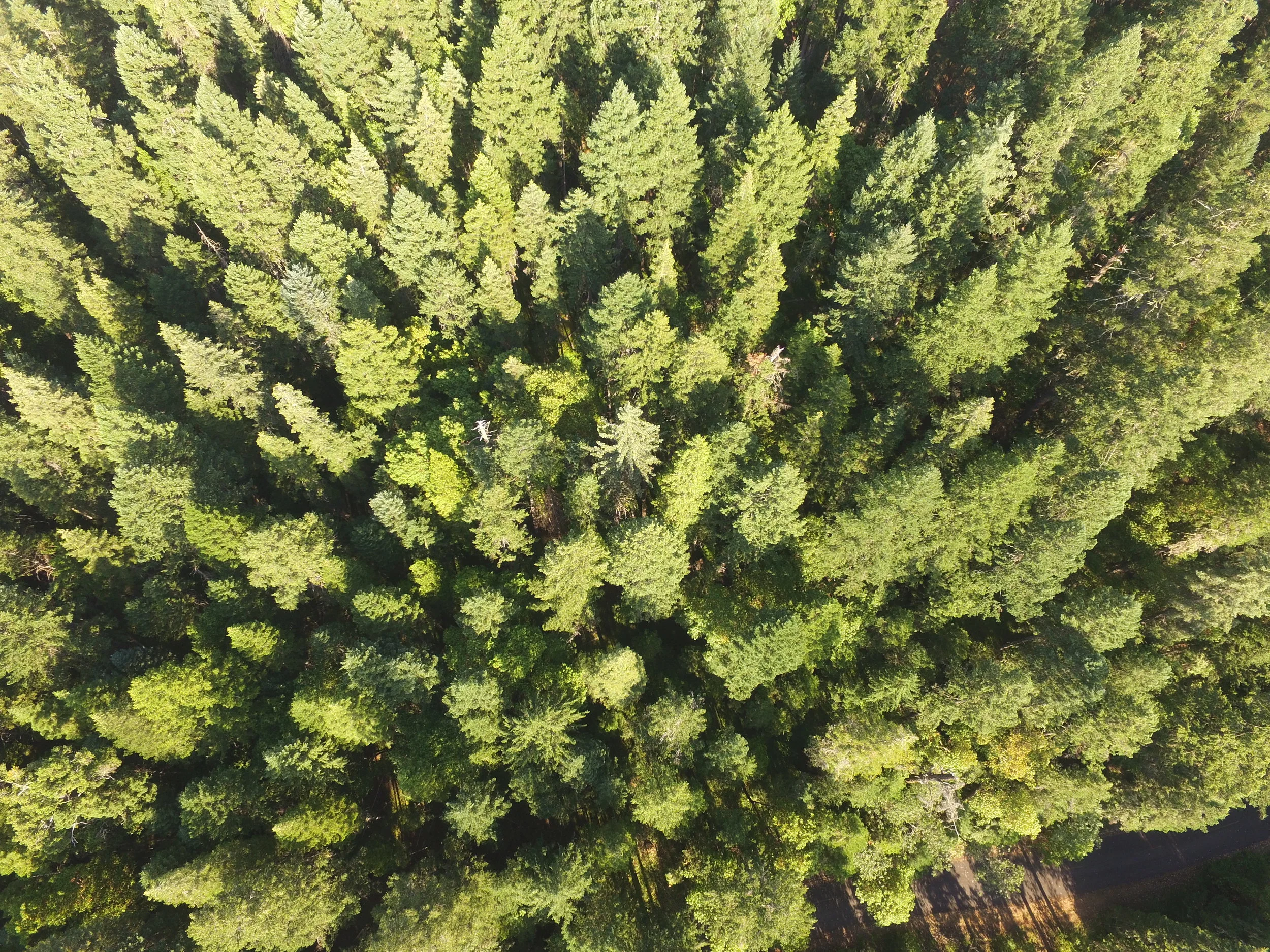 DJI_0165.JPG