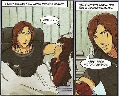 Vampire-Academy-Graphic-Novel-vampire-academy-30189322-604-487.jpg