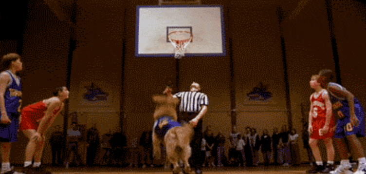 ff8e8aaf9f508babb9168192fd5fb13aeafb8bb9ea4b1a95c6834307c5585dc8.gif