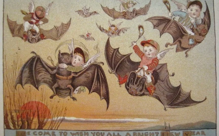 bats_trans_NvBQzQNjv4BqHps5lUliYIqgcK9S7R5oO3bnyqyMdrjCbPq_kIjcwCM.jpg