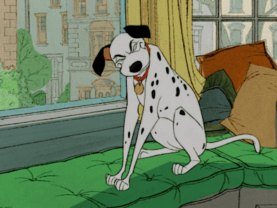 tumblr_pb7tnwVpQP1wzypxlo1_400.gif