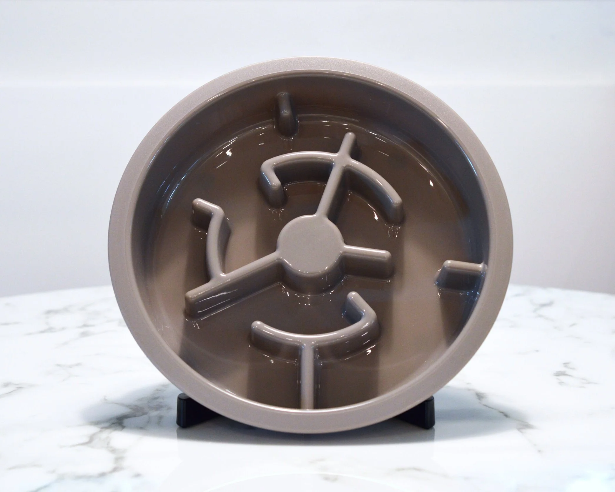 slow feeder petsmart