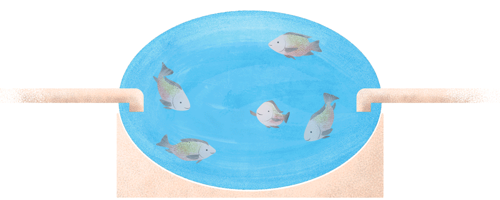 Animation4-Rev03.gif