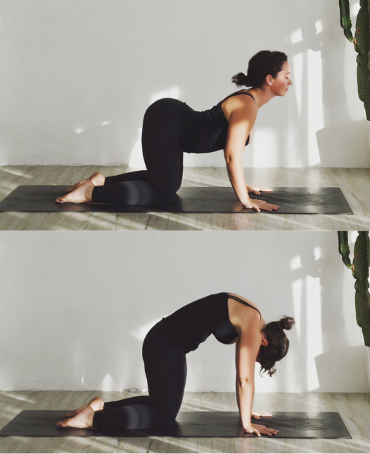 10 min Morning Yoga - Gentle Beginner Yoga Stretch (NO PROPS) - YouTube