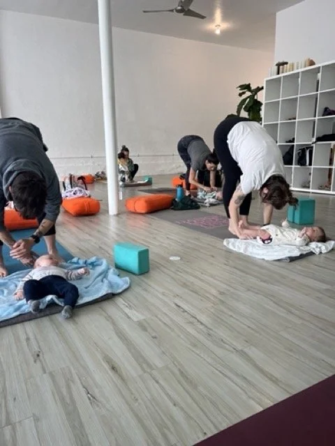 IMG_7138 Medium.jpeg