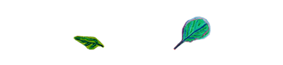 About_page_Pattern_left_V1.png