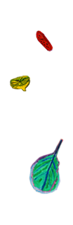 About_page_Pattern2_right_V1.png