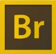 Bridge-logo.jpg