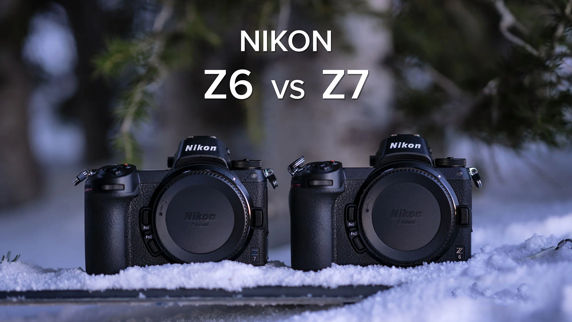 Nikon z5 и z50. Nikon z6 ii. Nikon z6. панасоник g1. Lumix s5ii форматы записи.
