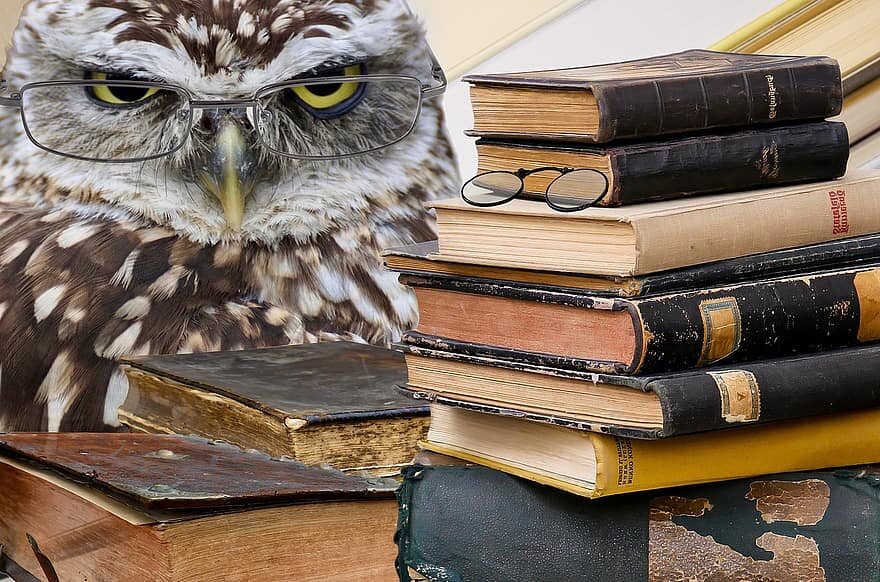 Why Does Culture Mean Much More than We Think?