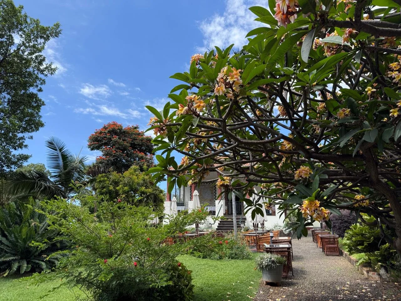 MADEIRA FOR FIRST-TIME VISITORS: EVERYTHING YOU SHOULD KNOW BEFORE YOU GO