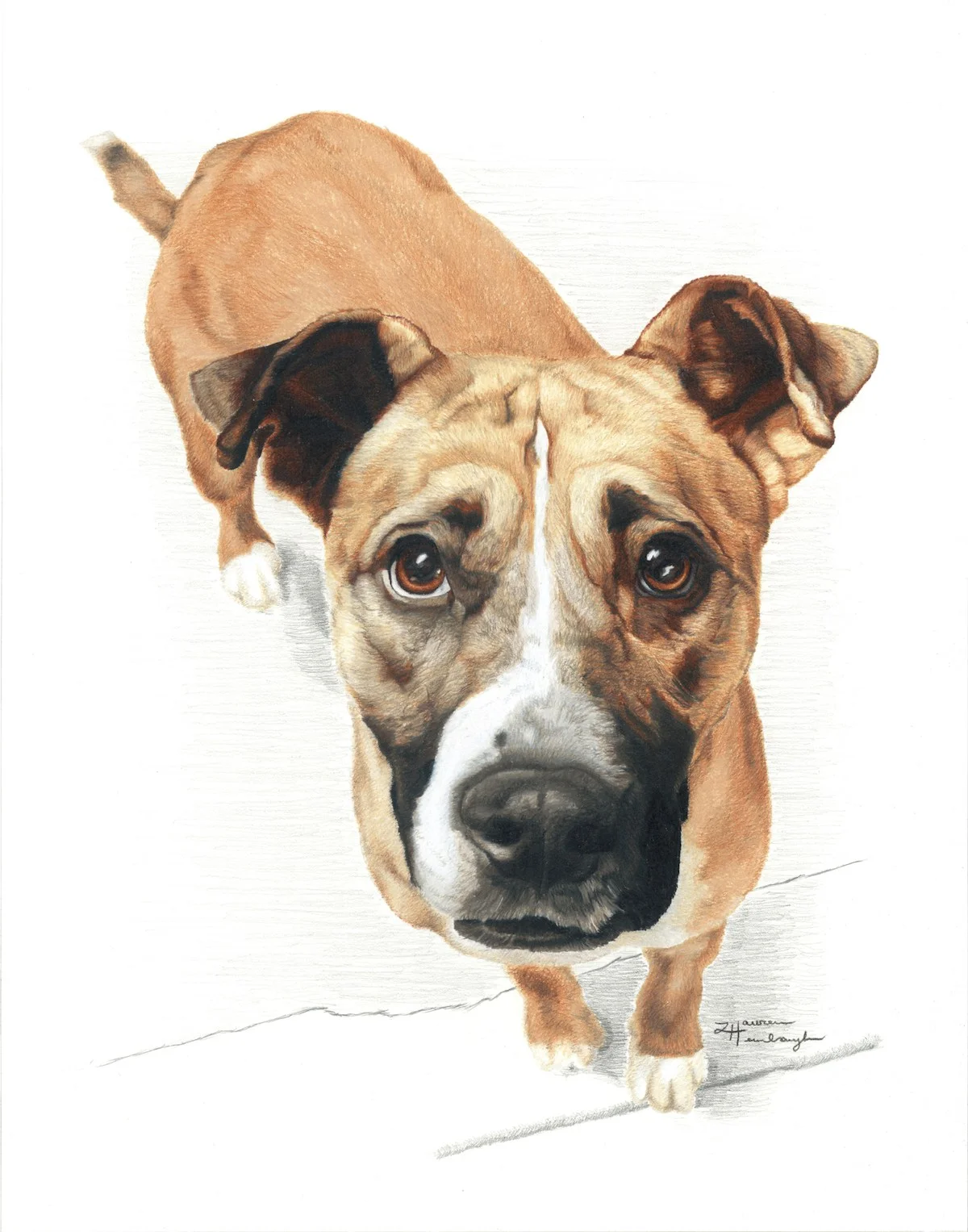 Annie Oakley the Shepherd Mix (2014)
