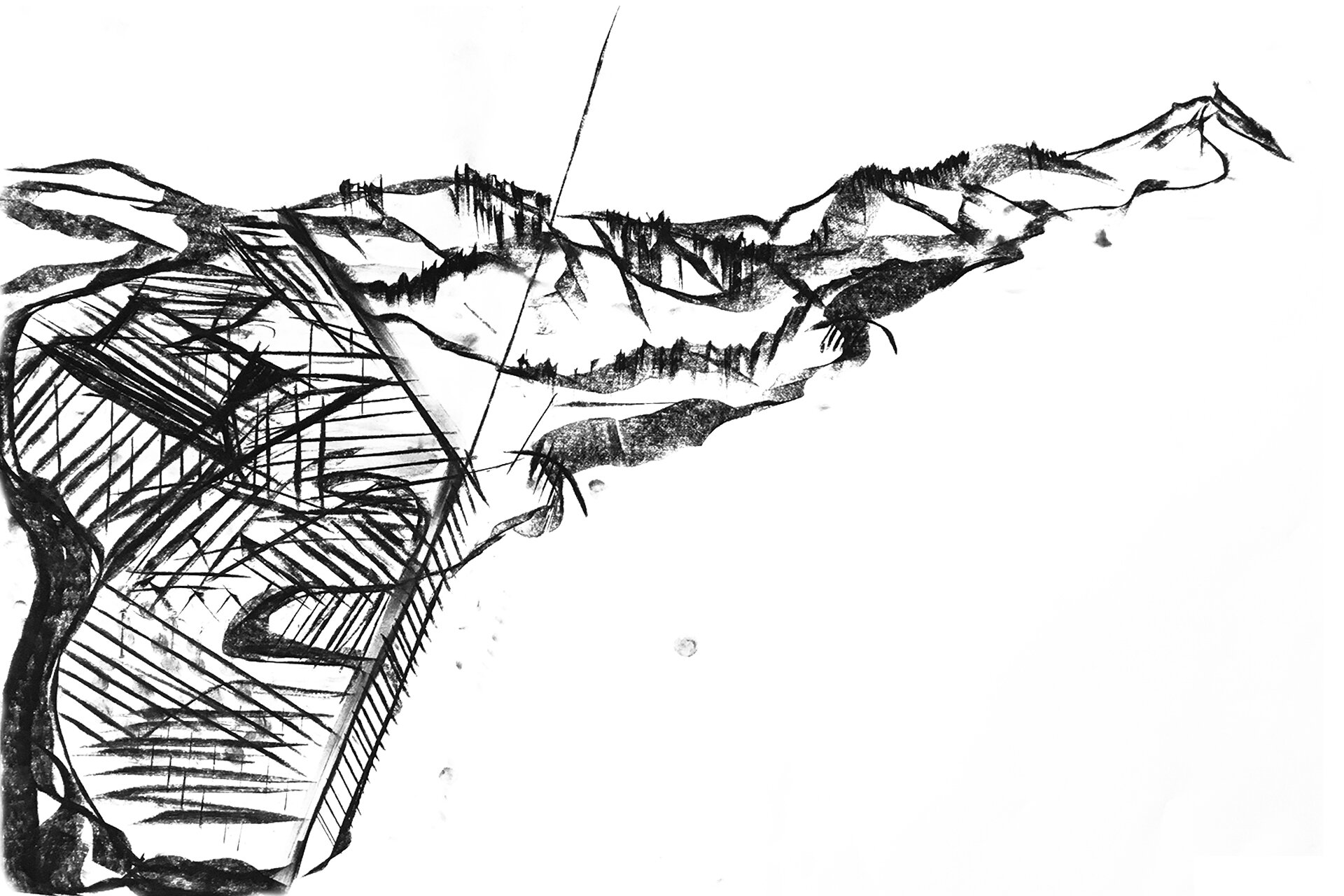 Woodland-Library_charcoal-sketch2.jpg