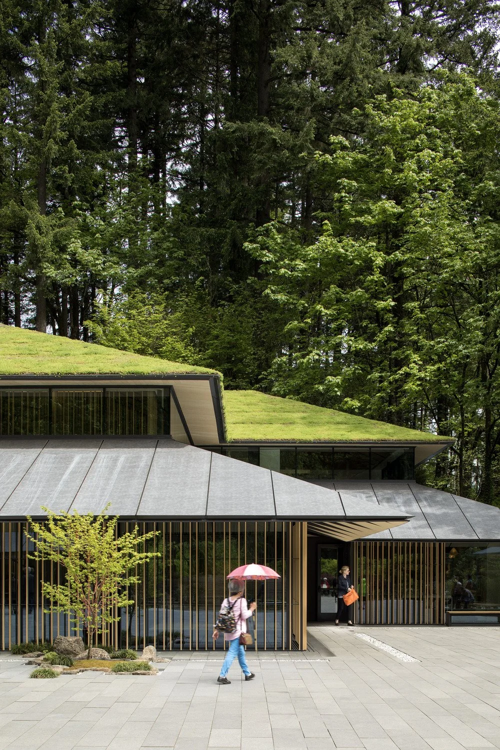 Portland Japanese Garden Expansion