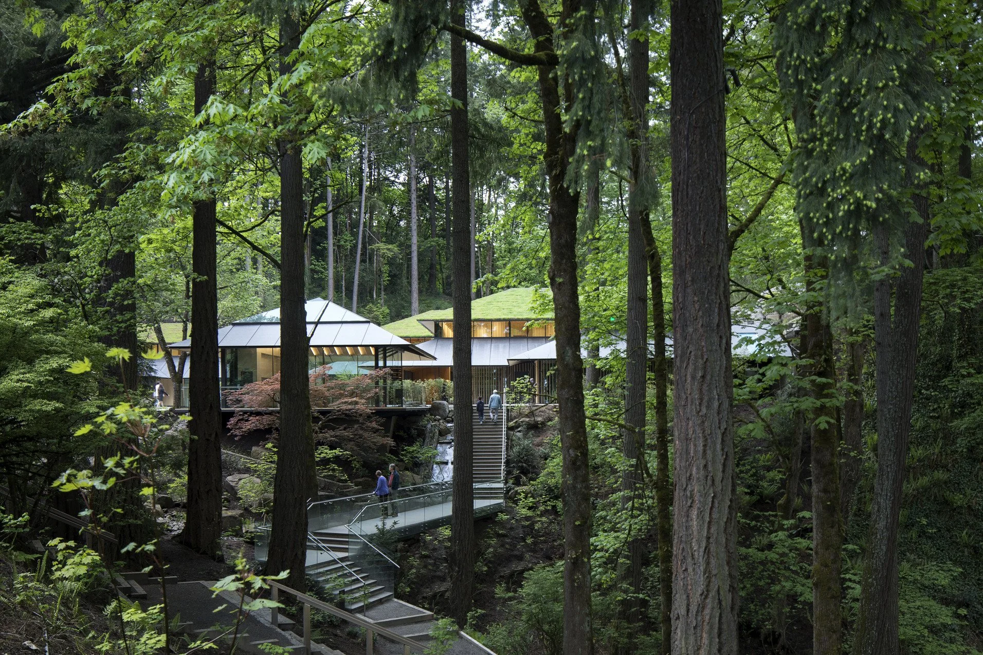 Portland Japanese Garden Expansion — Hacker