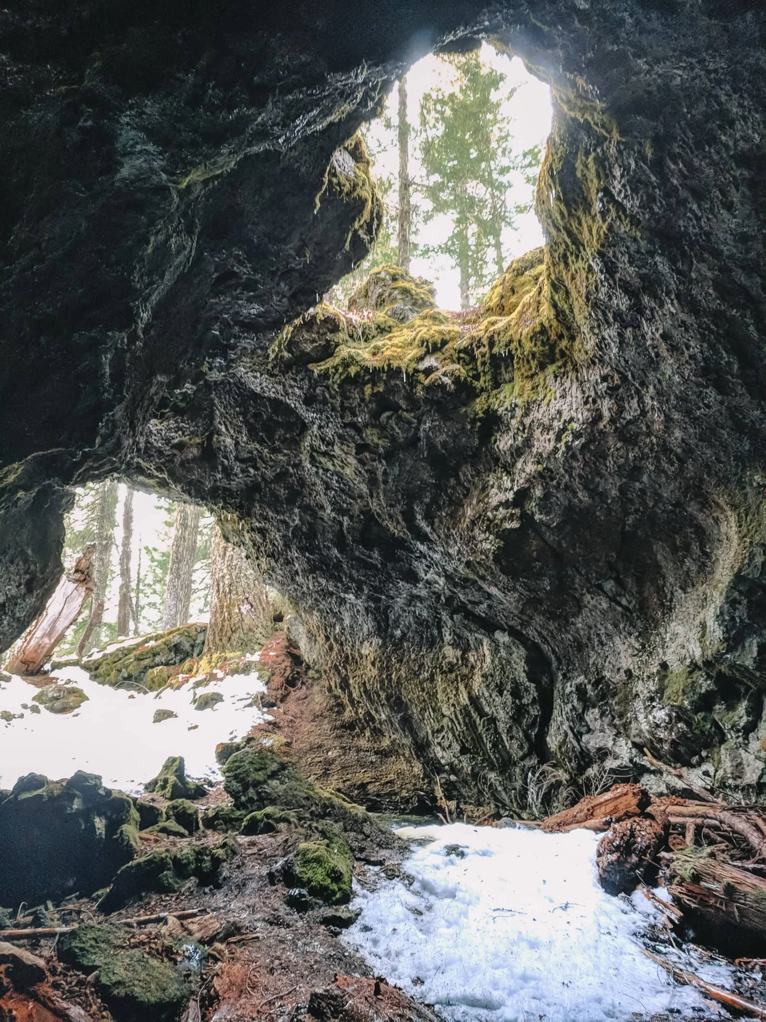 IMG_20180102_140754 edit.jpg