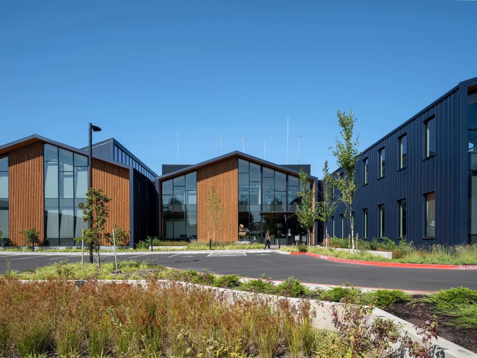 02019_N115_ppt (1) Edit.jpg