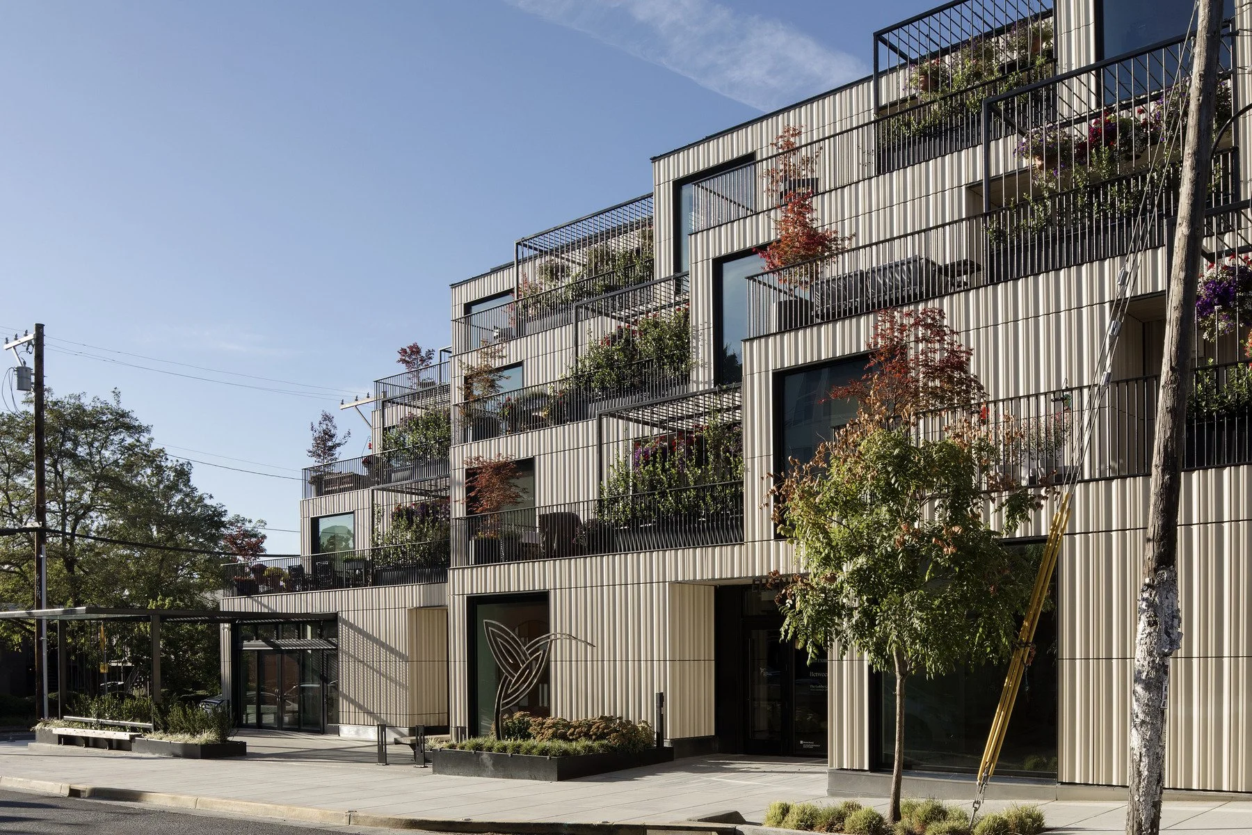 1824_N83_ppt (1).jpg