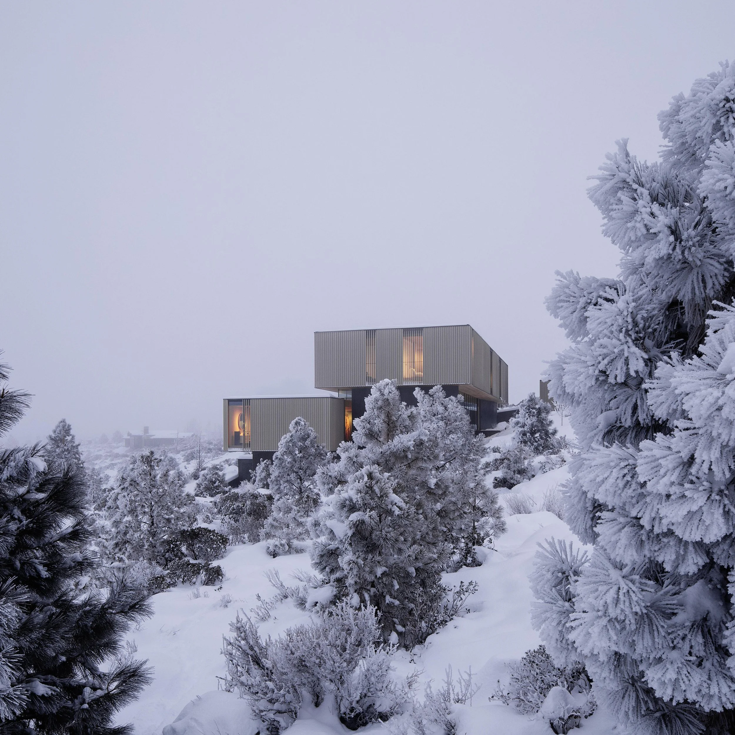 1727_N63_fullpage sq.jpg