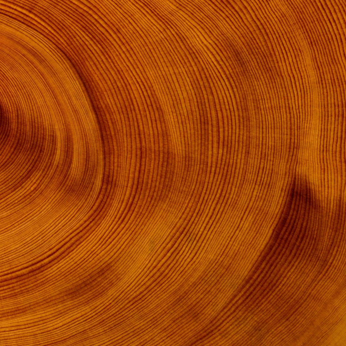 Pat Thorne