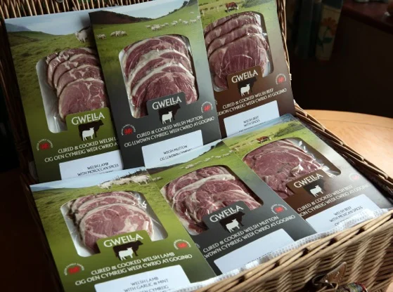 FG Lowri Thomas 10.jpeg