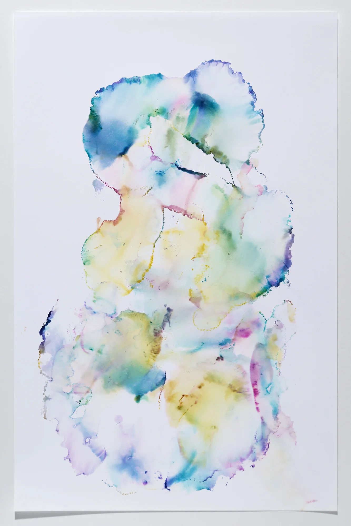 Original C M Y Ink MonoPrints on Inkjet paper. Select images for sale in the Store.