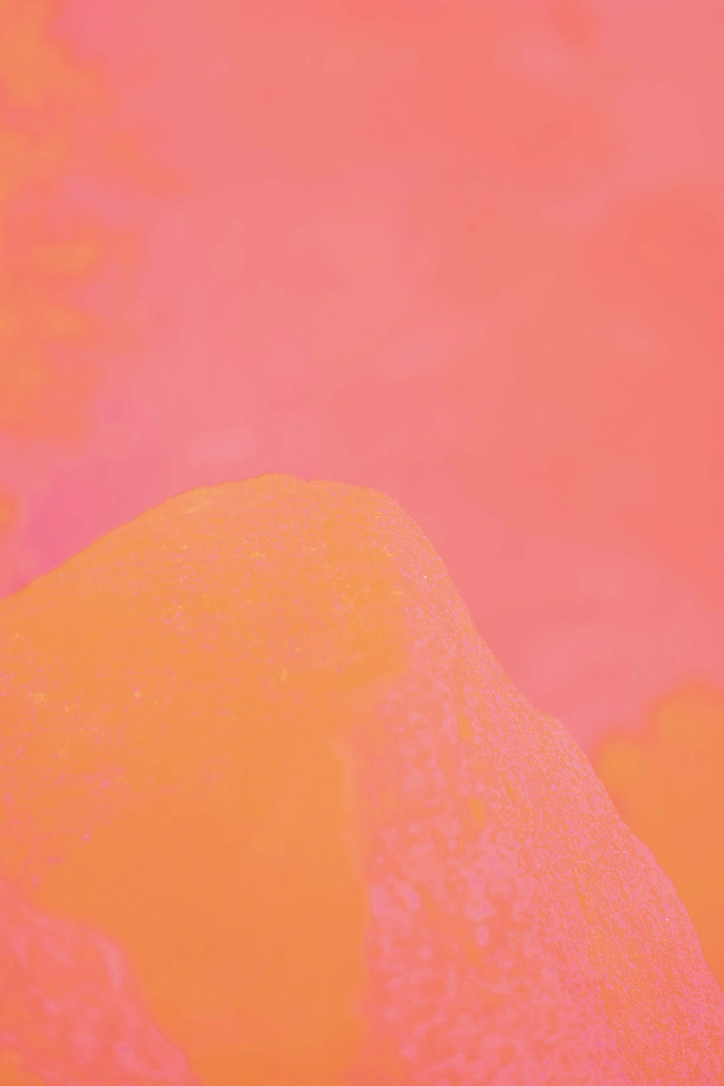 _ADF1368.jpg