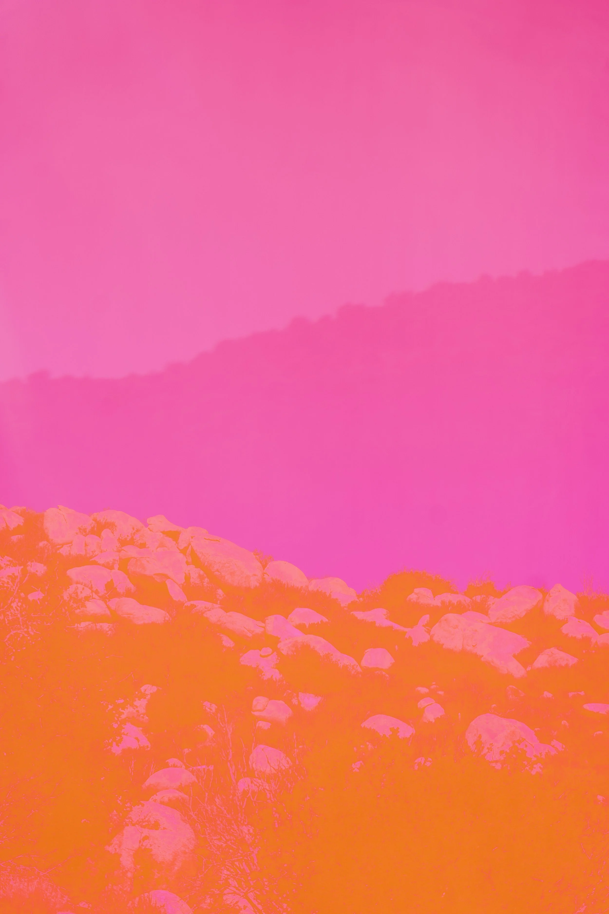 03302022LAND_PINN_021-2.jpg