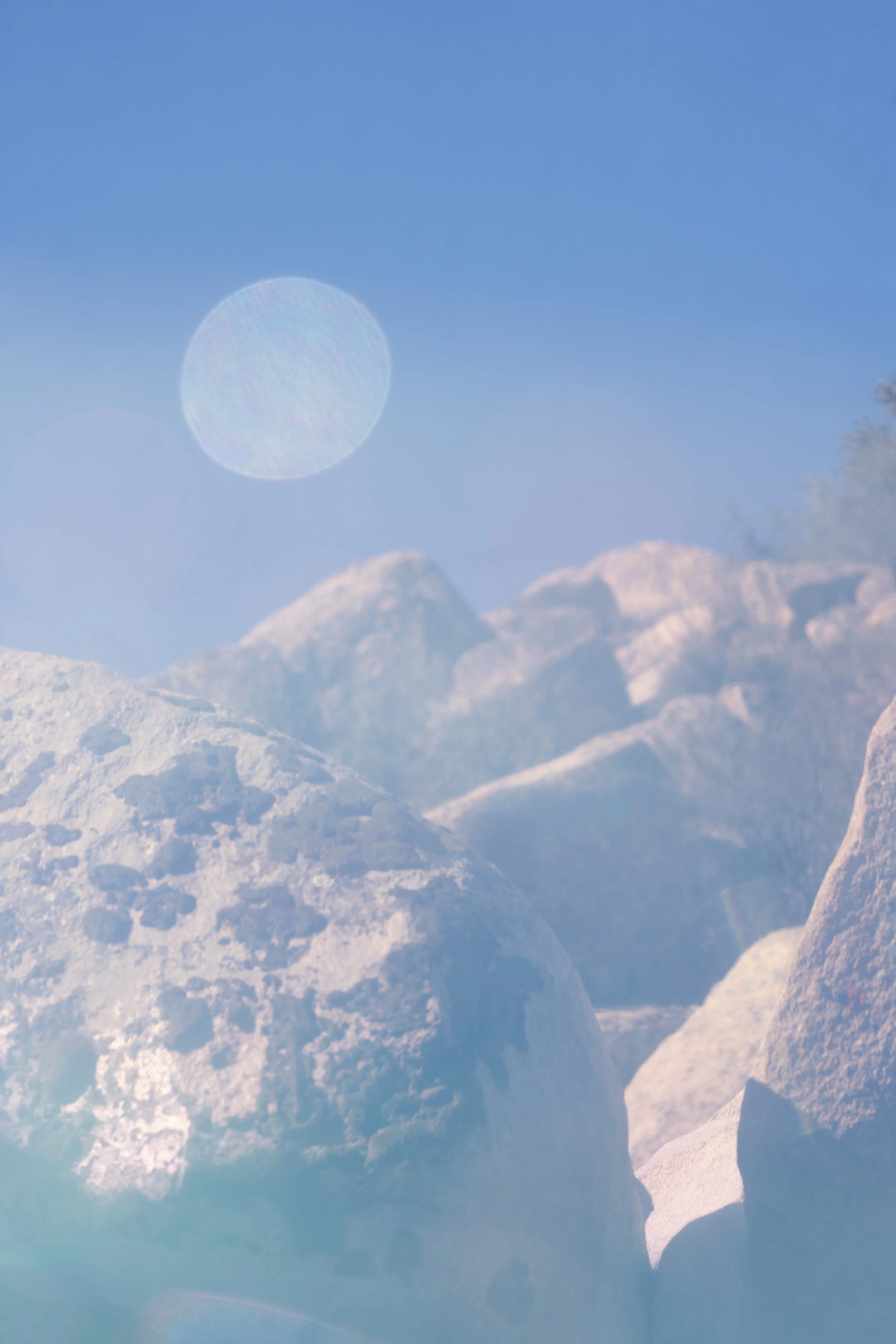 03302022LAND_PINN_155-2.jpg