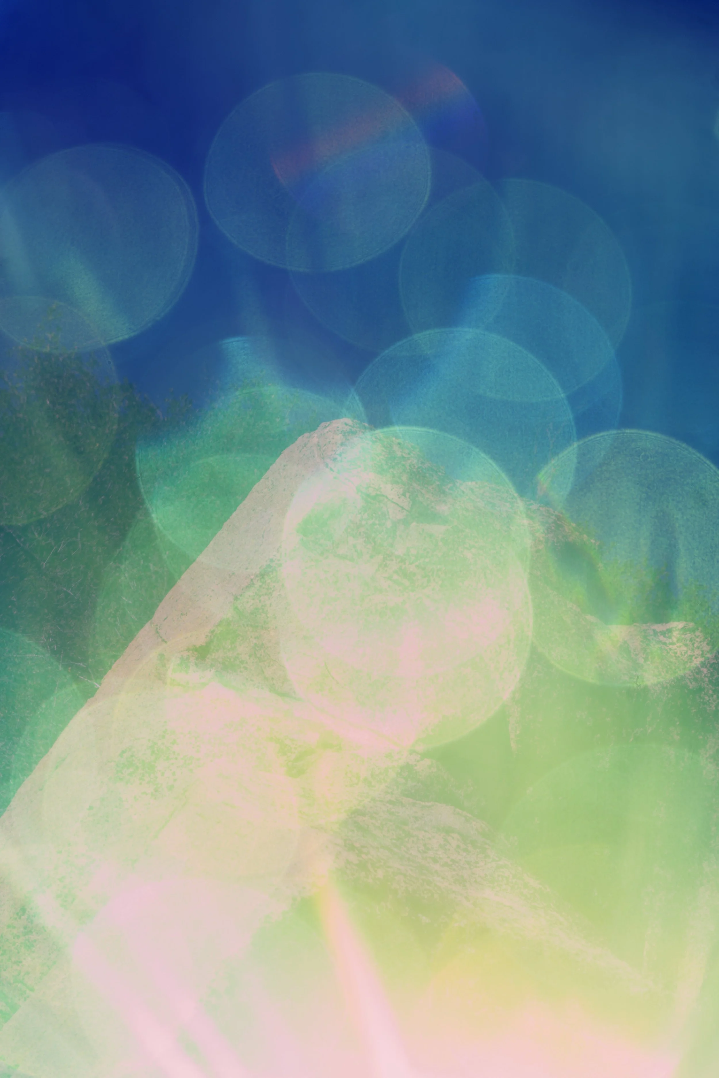 03302022LAND_PINN_170.jpg