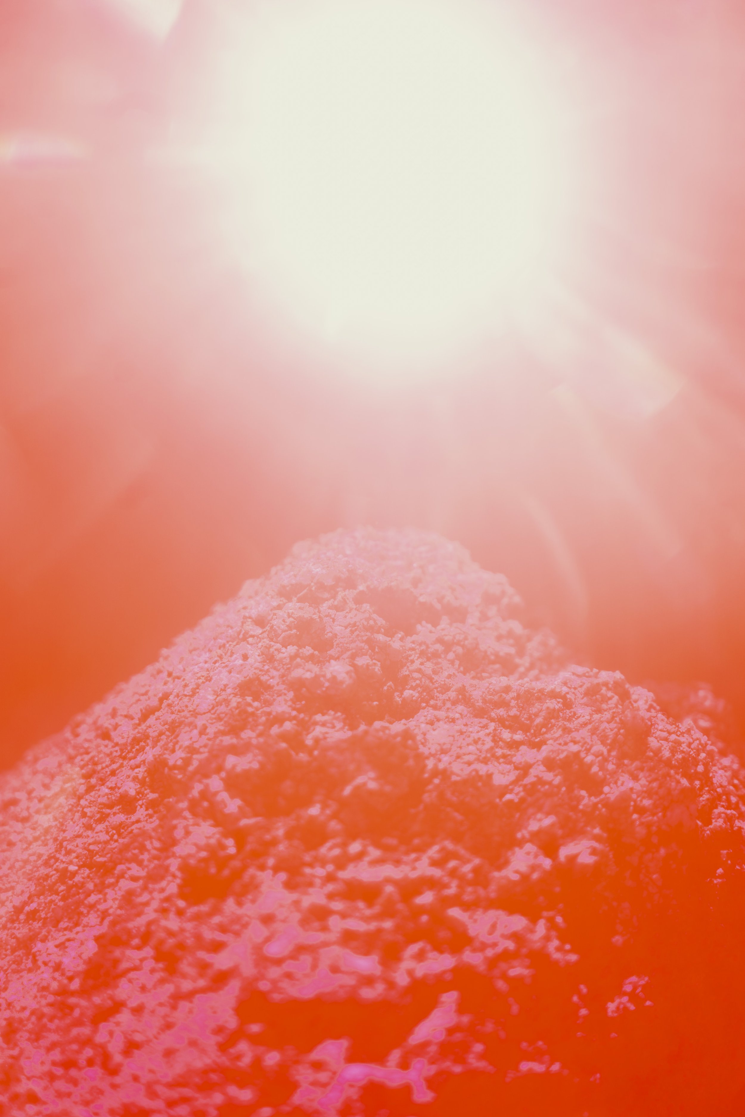 03302022LAND_PINN_247.jpg