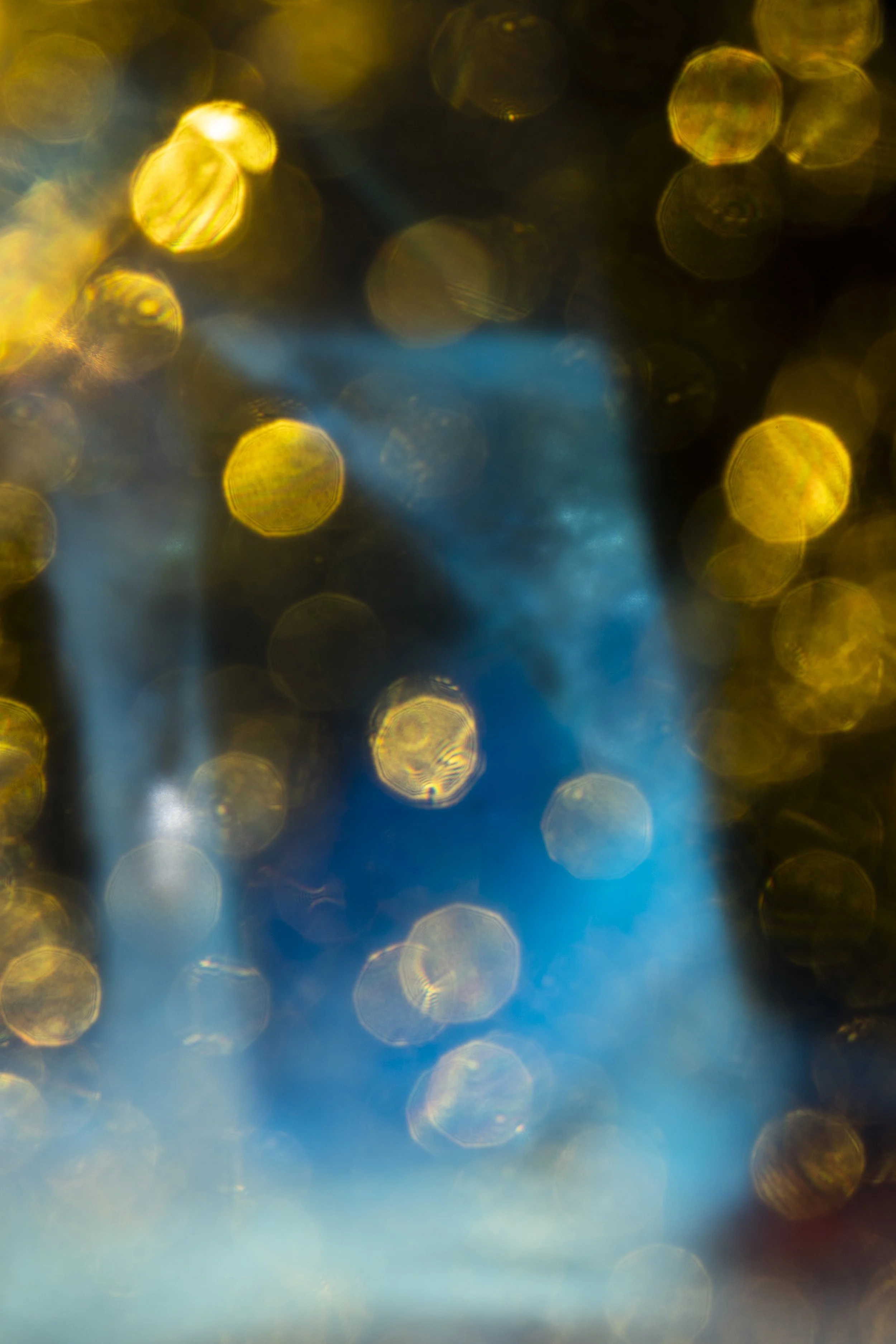 Ice_ADF3043.jpg