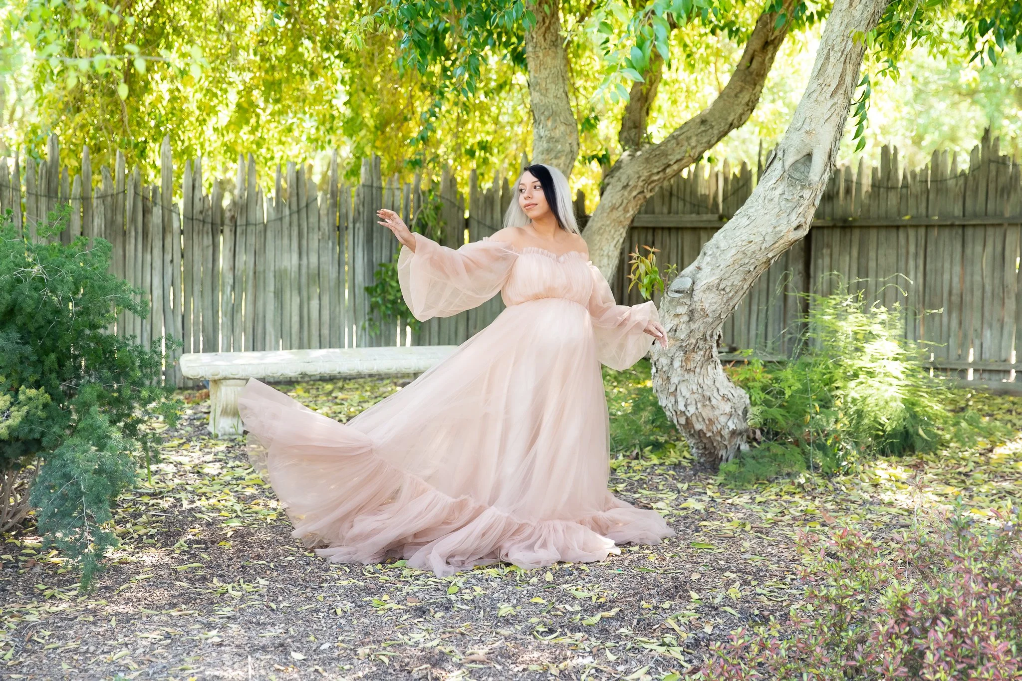 AI6A3697-Edit.JPG