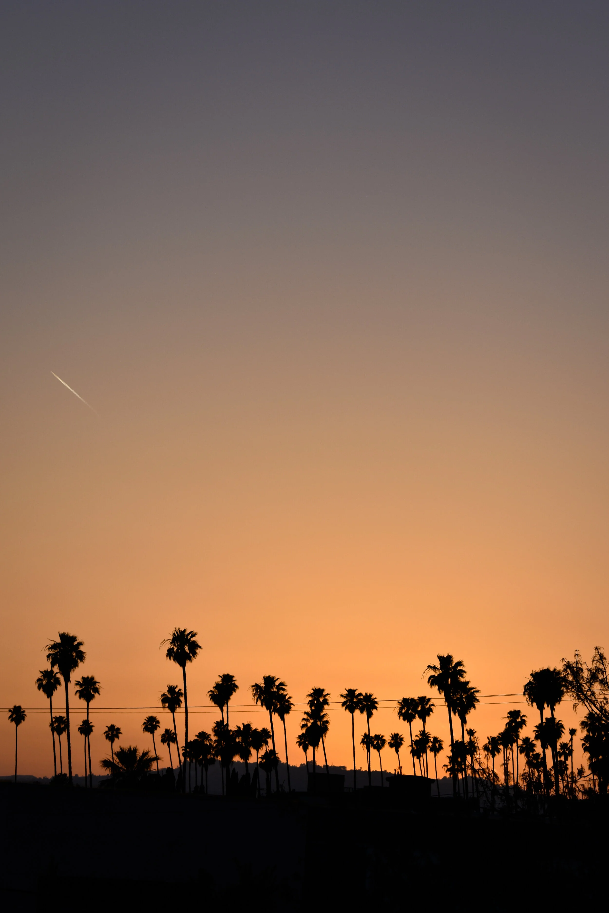Website V2 Lightroom Recoved Images-2.jpg