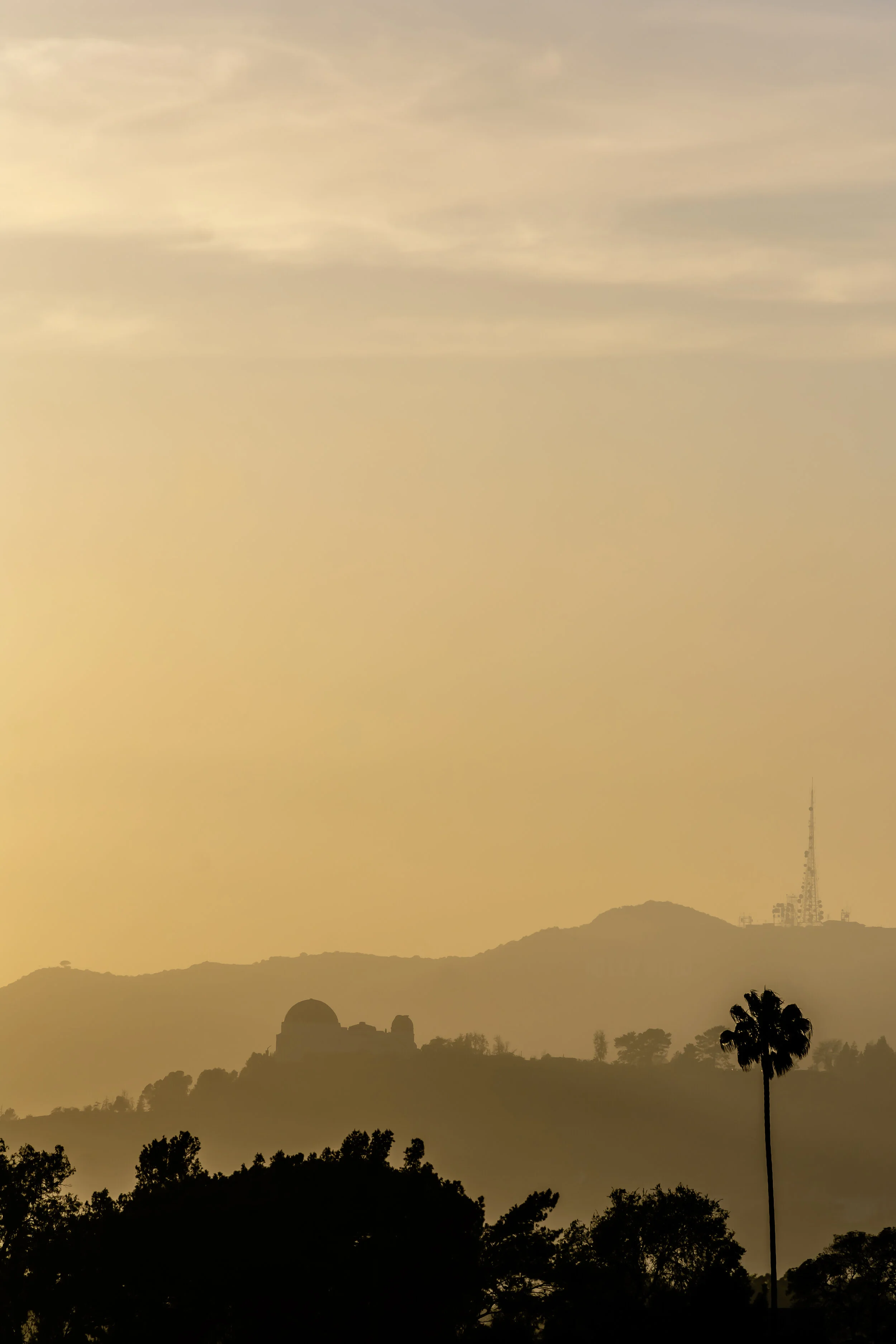 Website V2 Lightroom Recoved Images-38.jpg