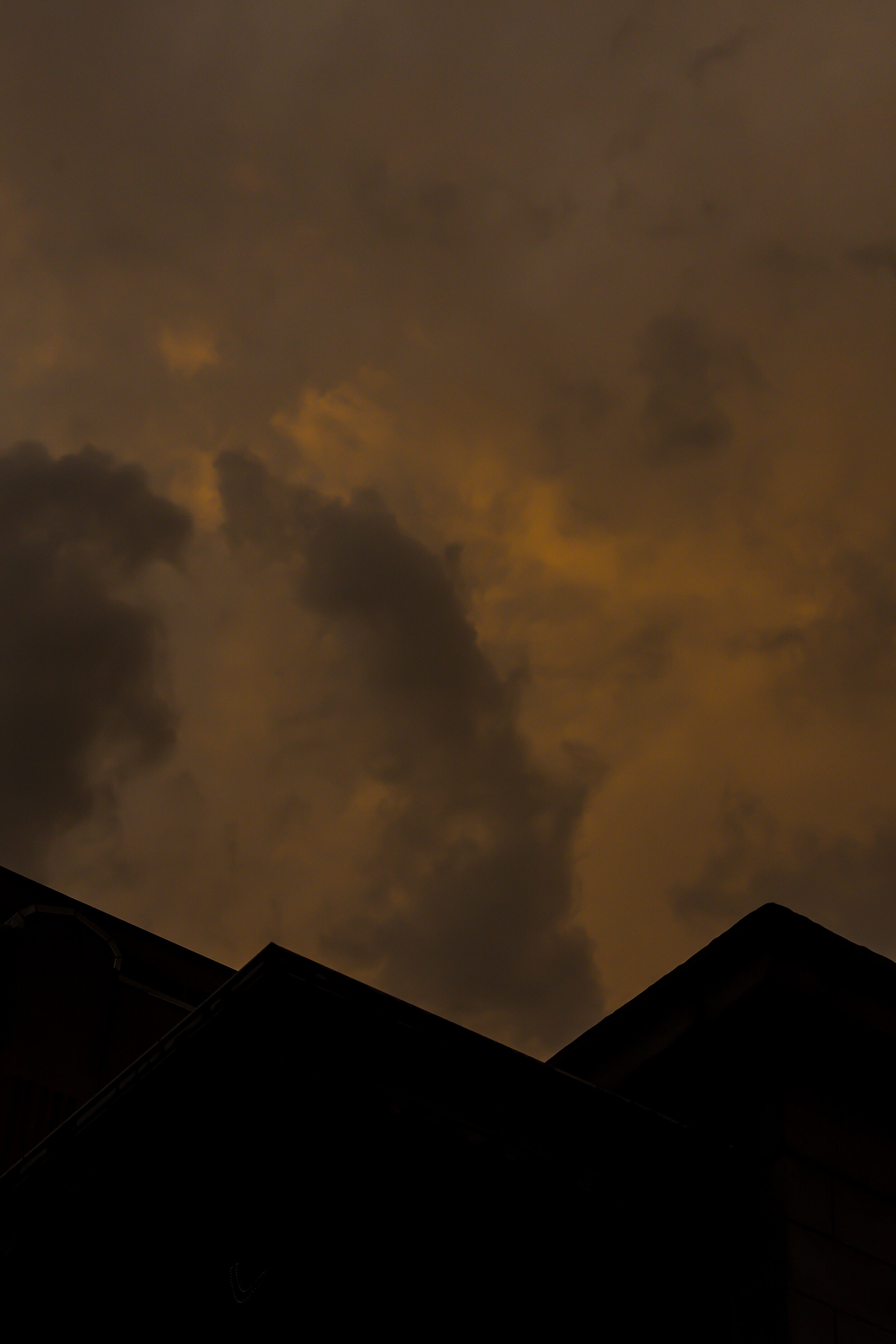 Website V2 Lightroom Recoved Images-66.jpg