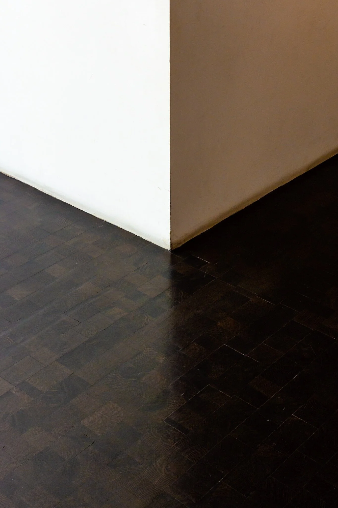 _DSC8517.jpg
