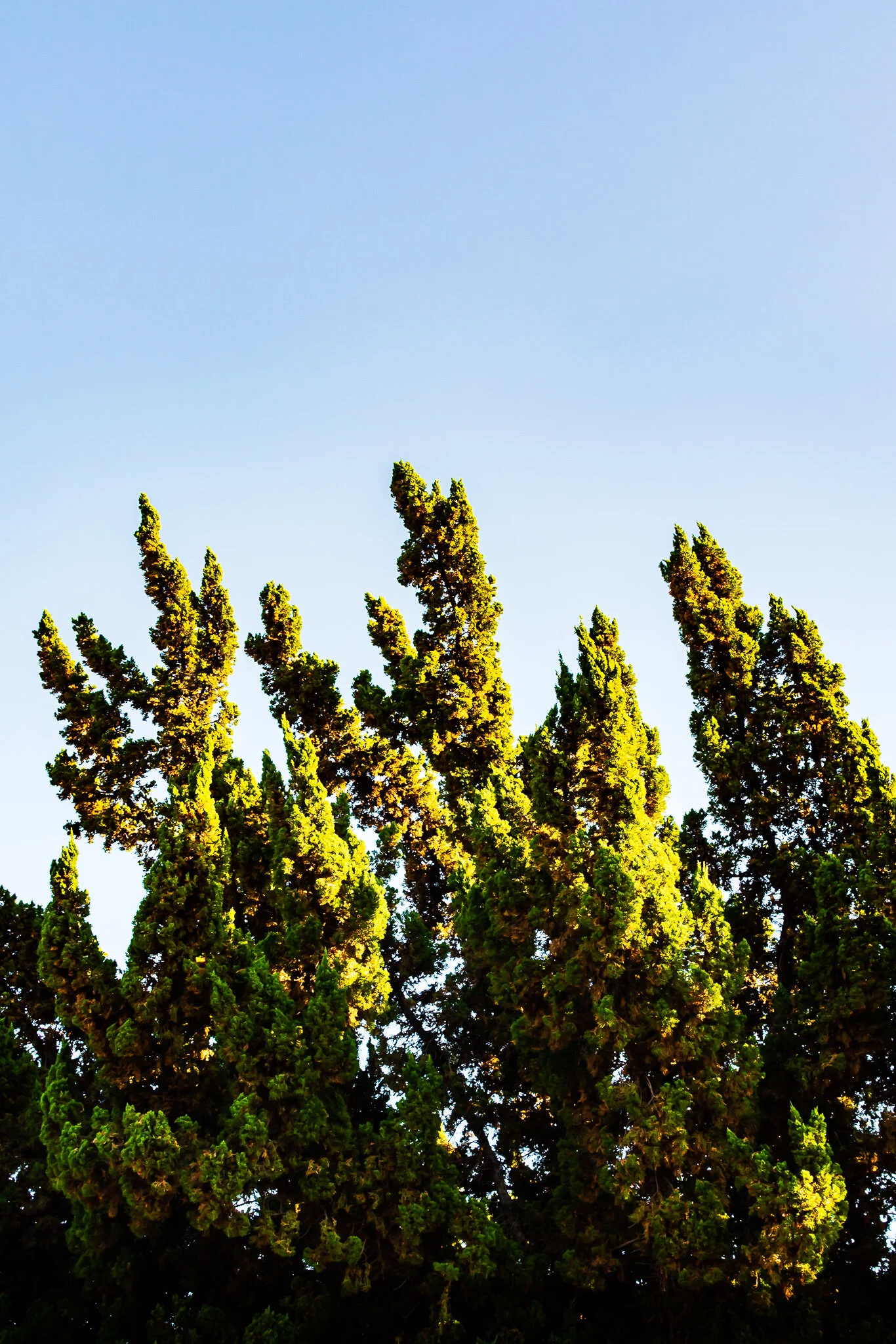_DSC8671.jpg