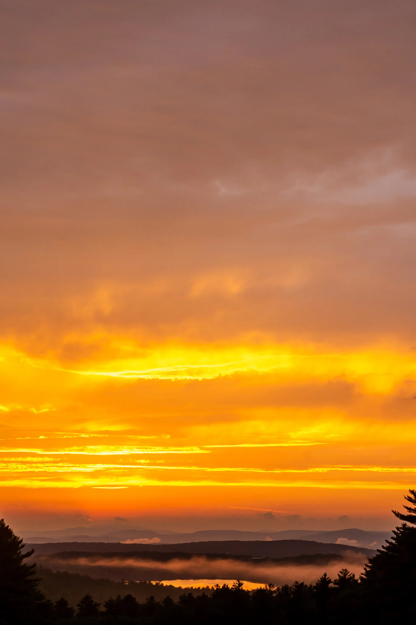 Winni Sunset 2.jpg