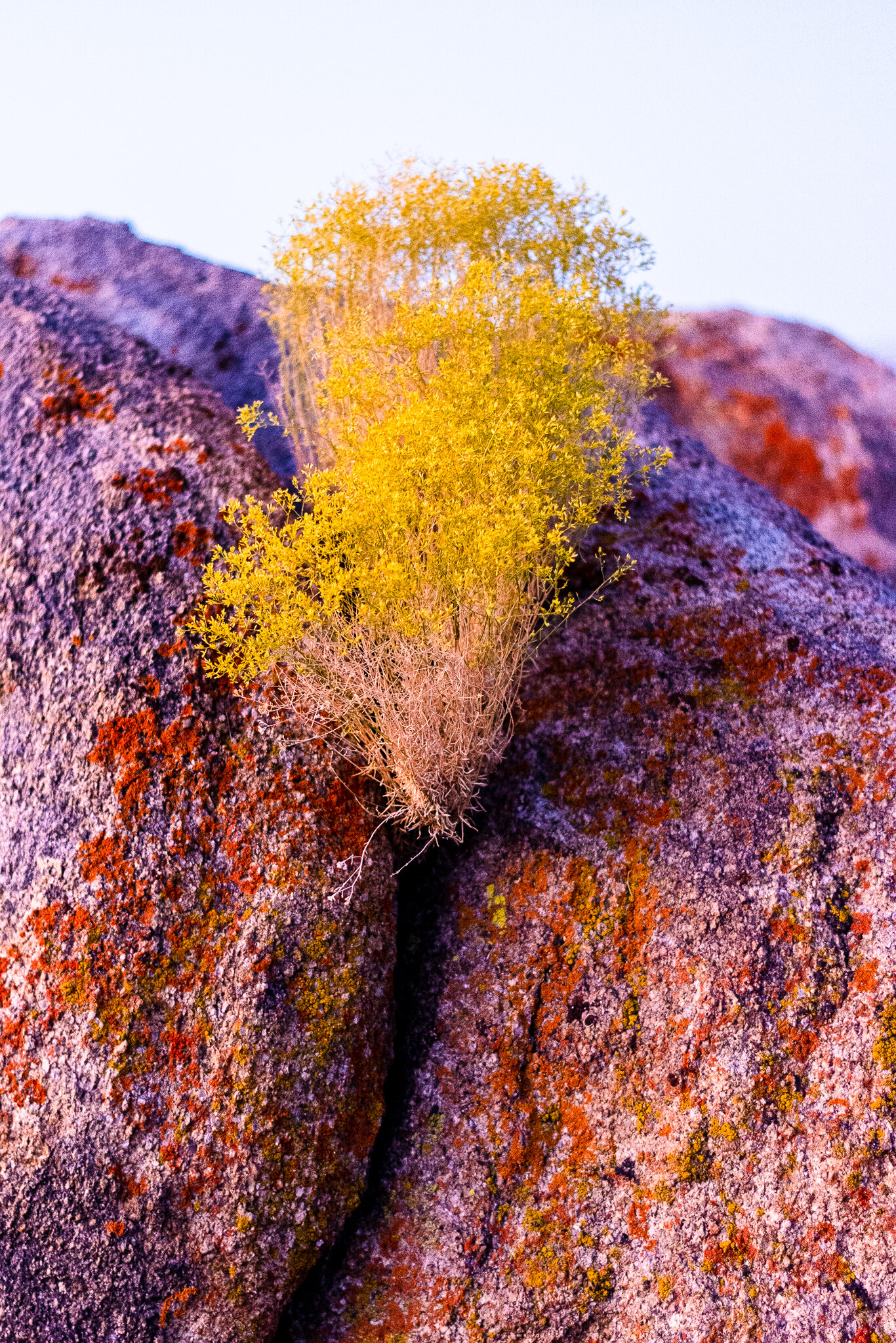 _DSC9801.jpg